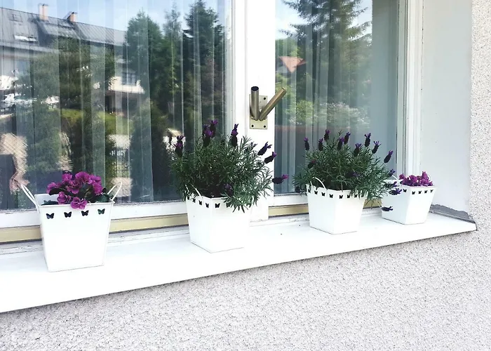 Aqua Kameralny * Sopot